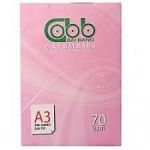 Giấy bãi bằng  A3 ĐL70/84