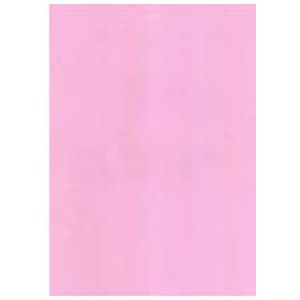 Giấy bìa màu A4/180 BC-C01(100 tờ/xấp) hồng